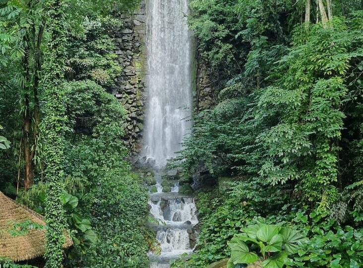 the jurong falls in singapore