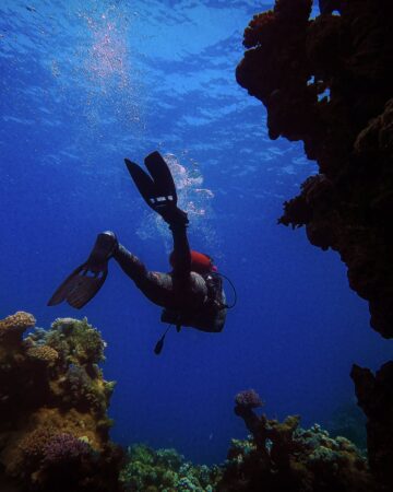 Scuba Diving in Singapore