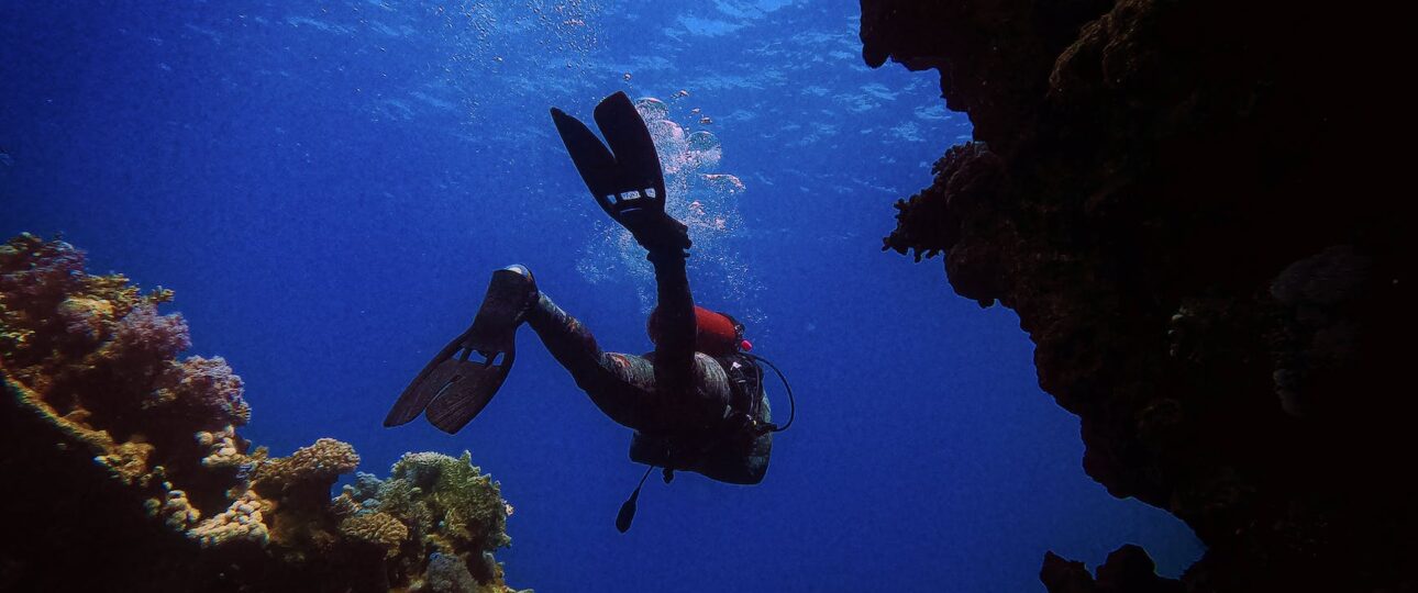 man in black diving suit under water