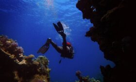 man in black diving suit under water