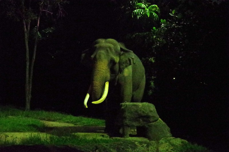 Singapore Night Safari